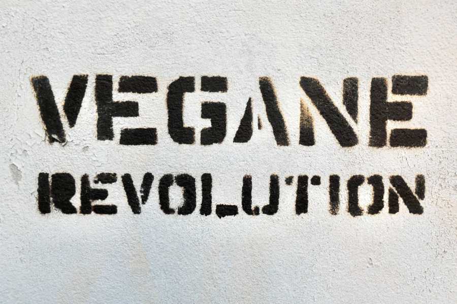 vegan area rugs
