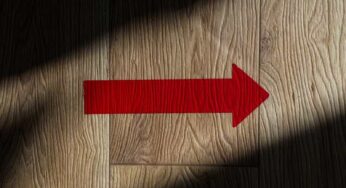 Quale tappeto su parquet chiaro[Guida alla scelta]