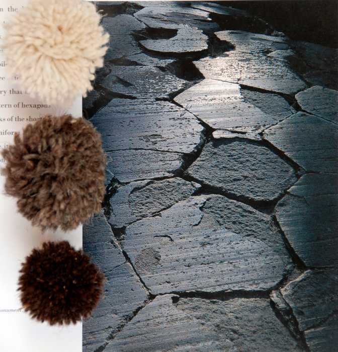 best non-toxic rugs