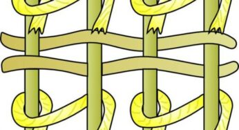 Chaîne et trame : qu’est-ce que c’est ? Comment influencent-elles le choix d’un tapis de qualité ?