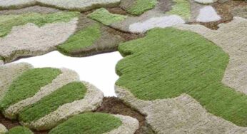3D rugs: what are they like? In which environments and where can they be used?