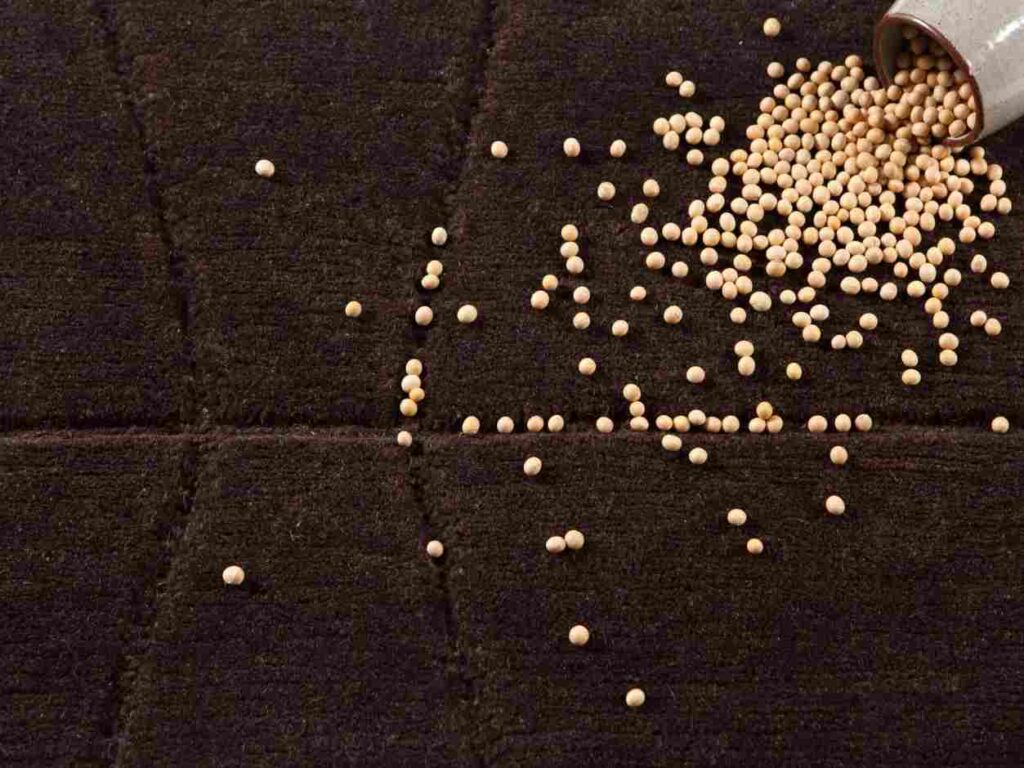 Nodus: rugs that achieve sustainability in luxury interiors