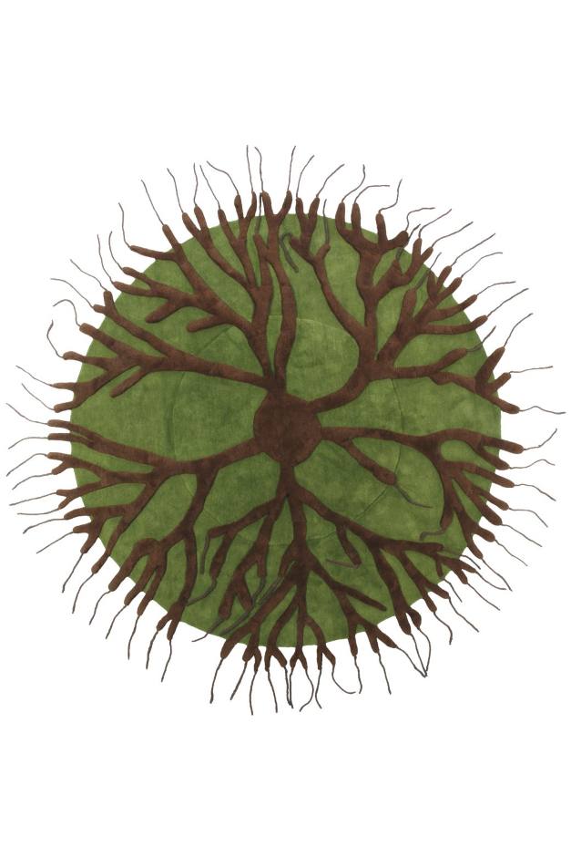 Scopri perché i tappeti di Nodus sono tra i migliori sul mercato!